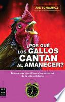 Por qué los gallos cantan al amanecer?
