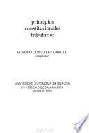 Principios constitucionales tributarios