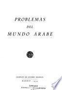 Problemas del mundo árabe
