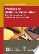 Procesos de clusterización en Jalisco
