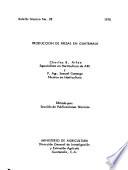 Producción de fresas en Guatemala
