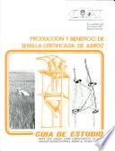 Producción y beneficio de semilla certificada de arroz