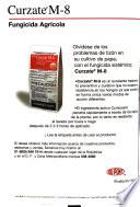 Productores de hortalizas