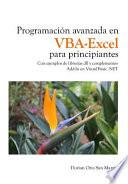 Programacion Avanzada en VBA-Excel para Principiantes