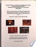 Promoviendo la temática empresarial entre pequeños productores: Informe y reflexiones de un Taller Mercadeo. Informe de Consultoría para el Taller de Identificación de Oportunidades de Mercado para Pequeños Productores