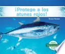¡Protege a los atunes rojos! (Help the Bluefin Tuna)