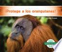¡Protege a los orangutanes! (Help the Orangutans)
