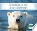 Protege a los osos polares!/ Help the Polar Bears