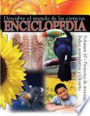 Proyectos De Investigacíon/ Indice Acumulative Y Glosario