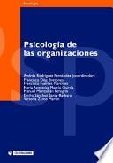 Psicología de las organizaciones