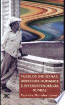 Pueblos indígenas, derechos humanos e interdependencia global