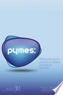 Pymes: reflexiones para la pequeña y mediana empresa en Colombia