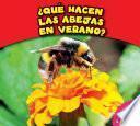 ¿Qué hacen las abejas en verano?
