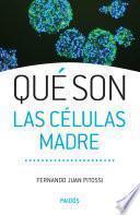 Qué son las células madre