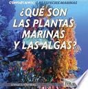¿QUÉ SON LAS PLANTAS MARINAS Y LAS ALGAS?
