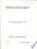Recomendaciones de los Grupos de Trabajo