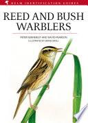 Reed and Bush Warblers