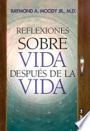 REFLEXIONES SOBRE VIDA DESPUES DE LA VIDA/ REFLECTIONS ON LIFE AFTER LIFE.