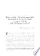 Reproducción y formas de transmisión patrimonial de los grandes linajes y casas nobiliarias en la Castilla tardomedieval