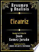 Resumen Y Analisis - Cicatriz - Basado En El Libro De Juan Gomez Jurado
