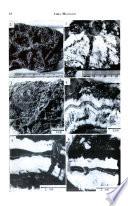 Revista de la Asociación Geológica Argentina