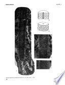 Revista española de micropaleontología
