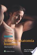 Rohen Atlas de Anatomia Humana Memorama