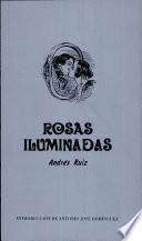 Rosas iluminadas