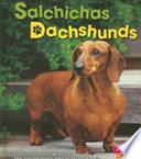 Salchichas/Dachshunds
