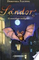 Sandor El Murcielago Inteligente