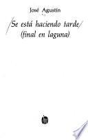 Se está haciendo tarde (final en laguna)
