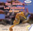 Sea Horses / Los caballitos de mar
