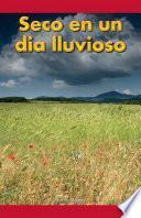 Seco en un dia lluvioso (Dry on a Rainy Day)