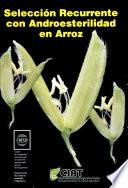 Selección recurrente con androesterilidad en arroz