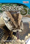 Serpientes de cerca (Snakes Up Close) 6-Pack
