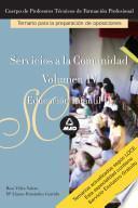 Servicios a la Comunidad. Cuerpo de Profesores Tecnicos de Formacion Profesional. Temario Educacion Infantil Ii. Volumen Iv. E-book