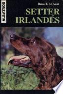 Setter Irlandes