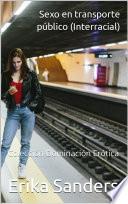 Sexo en transporte público