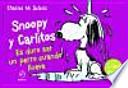 Snoopy y Carlitos 3, Es duro ser un perro cuando llueve