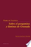 Sobre el pergamino y láminas de Granada
