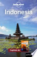 Sureste asiático para mochileros 4_4. Indonesia