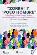 ”Zorra” y “poco hombre”. Violencia simbólica y representaciones discursivas de género en interacciones verbales