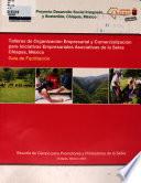 talleres en organizacion empresarial y comercializacion para iniciativas de la selva chiapes, mexico
