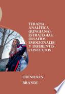 Terapia Analítica (Jungiana): Estrategias, Desafíos Emocionales y Diferentes Contextos