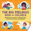The Big Feelings Book for Children