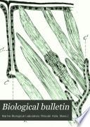 The Biological Bulletin