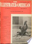 The Illustrated American