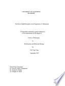 The Role of EphB Receptors in the Progression of Melanomas