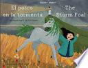 The Storm Foal El potro en la tormenta: El potro en la tormenta