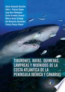 Tiburones, Rayas, Quimeras, Lampreas y Mixínidos de la Península Ibérica y Canarias